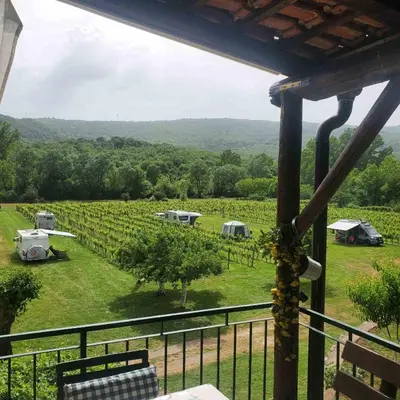 a view of a vineyard from the balcony of a house at Purple Eye Camp & Winery in Podgorica