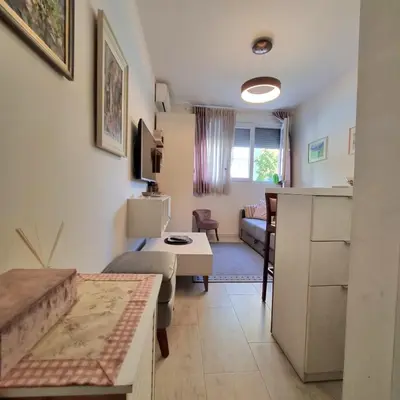 a living room with a couch and a table in a room at Apartman Podgorica in Podgorica