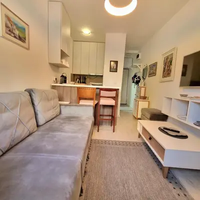 a living room with a couch and a kitchen at Apartman Podgorica in Podgorica