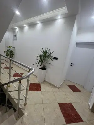 a hallway with a staircase and a potted plant at Keon in Ulcinj
