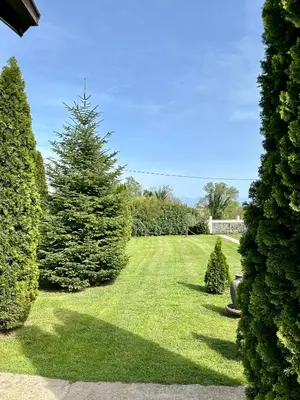 a lawn with a christmas tree in a yard at Tiny house 2 - Imanje Terzic in Podgorica