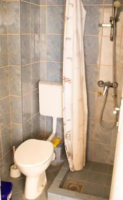 a bathroom with a toilet and a shower at Vila Bronhi in Sutomore