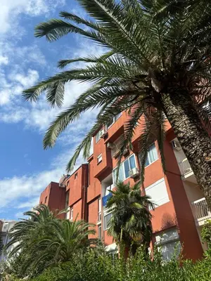 a red building with palm trees in front of it at Apartman Budva Centar in Budva