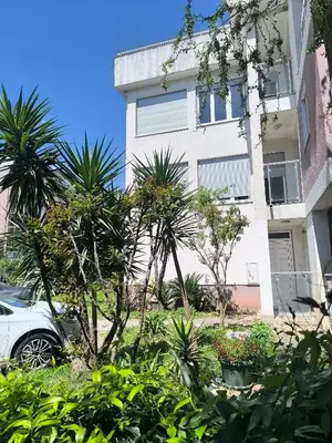 a white building with palm trees in front of it at Sunny apartments in Budva