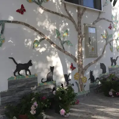 Apartment Cats