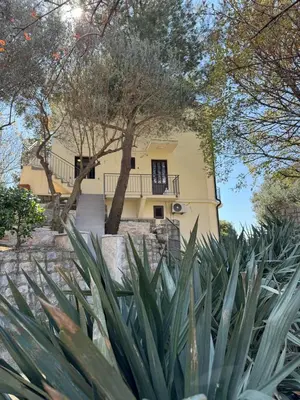 a yellow house with a tree and some plants at Midpoint See and Sun in Kotor