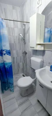 a bathroom with a toilet and a sink and a shower at Apartments Pajo in Vranjina