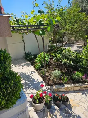 a garden with several pots of flowers and plants at Vila Lučica apartman u prizemlju in Petrovac na Moru