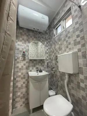 a small bathroom with a toilet and a sink at Belaapartman in Kravlja
