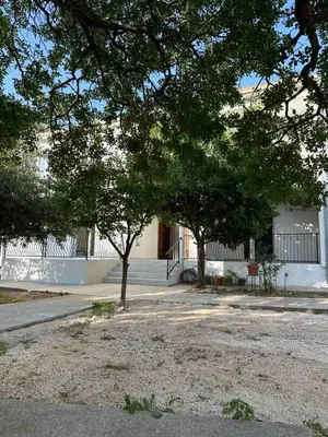 a house with two trees in front of a street at Apartmani Aki 1 in Sutomore