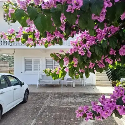 Apartments Ivana