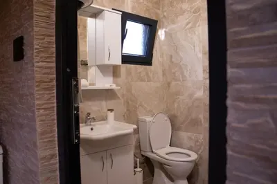 a bathroom with a toilet and a sink and a window at Rural stay Miranovic in Balabani