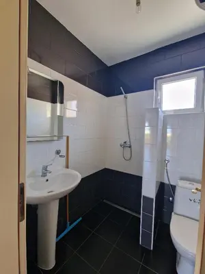 a bathroom with a sink and a toilet at Ago Apartman in Dobra Voda