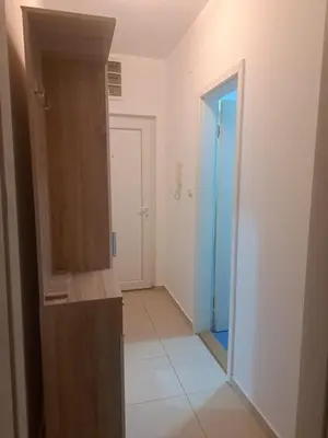 a bathroom with a mirror and a blue door at Apartman D3 in Podgorica