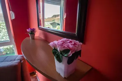 a vase of pink flowers on a table in a room at Villa Elkom, App.3 in Ulcinj