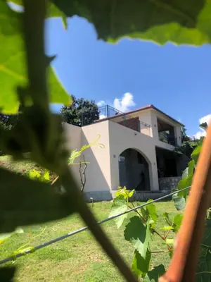 a house seen through the leaves of a plant at Green Silence - Iva in Danilovgrad